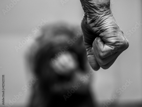 domestic violence mans clenched fist