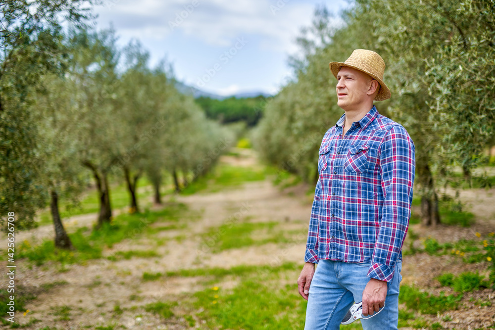 Man farmer with straw hat at olive plantation.