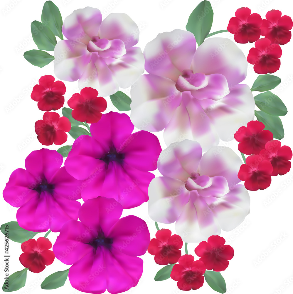 group of pink and red flowers isolated on white