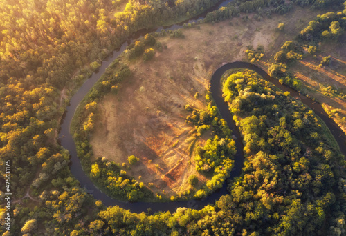 Aerial view of a winding river at dawn in summer.