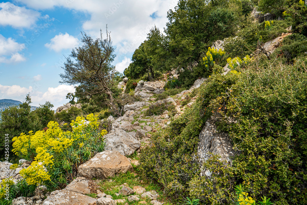 Ariassus or Ariassos was a town in Pisidia, Asia Minor built on a steep hillside about 50 kilometres inland from Attaleia (modern Antalya). Ariassus or Ariassos was a town in Pisidia, Asia Minor built on a steep hillside about 50 kilometres inland from Attaleia (modern Antalya).