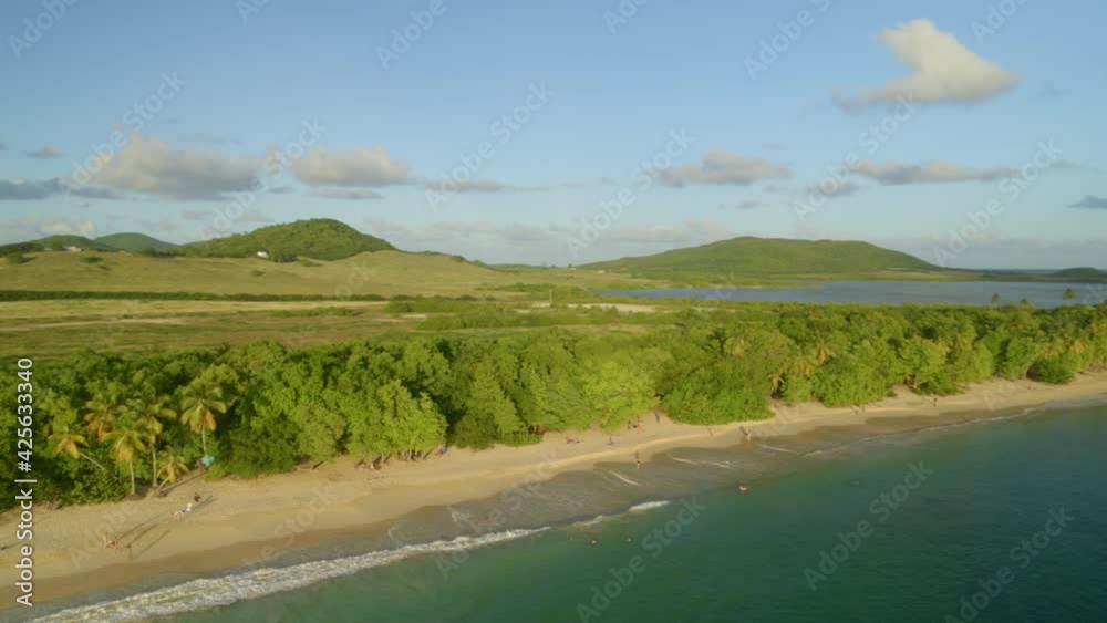 Aerial of green trees and landscape along beautiful sea Aerial of green trees and landscape along beautiful sea