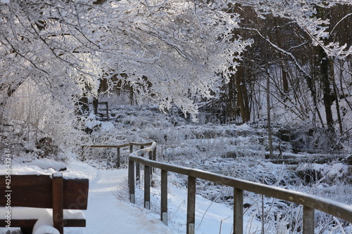 Wanderweg Sinterterrassen bei Dorfhaus / Weißenohe photo