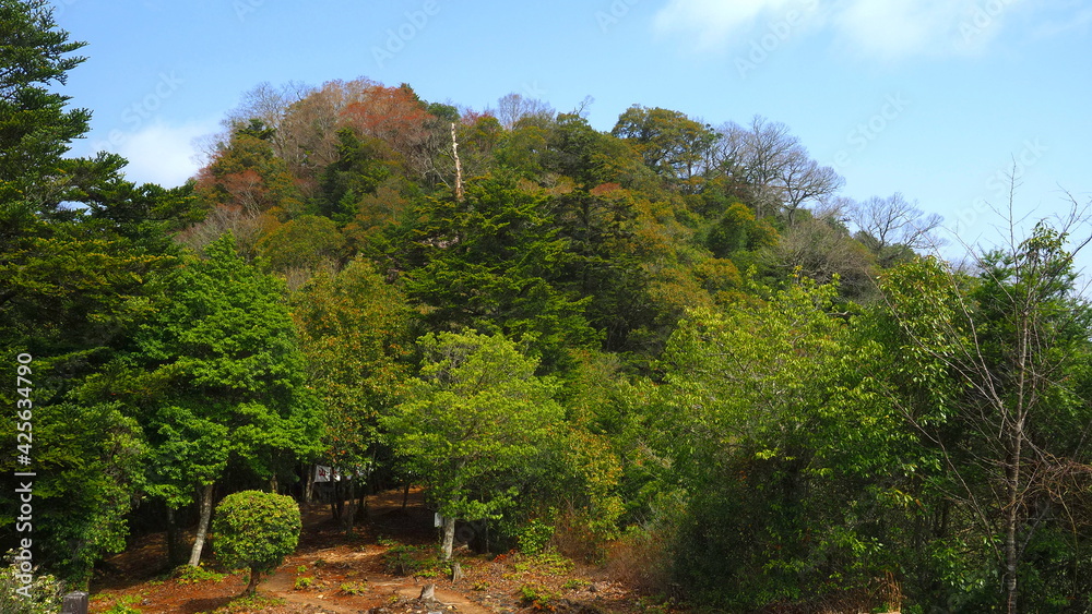 備中松山城への山道1