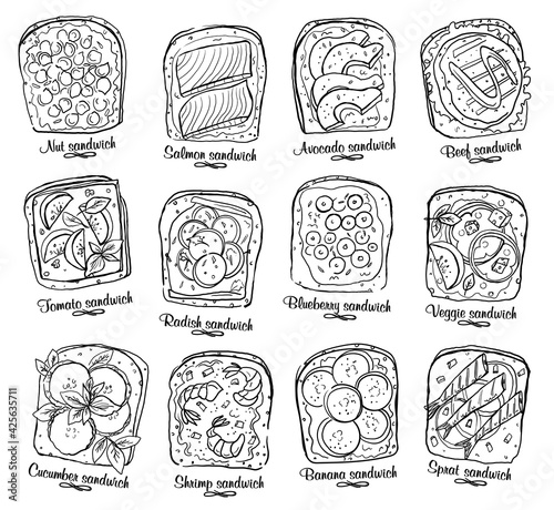 Assorted sandwiches vector illustration.