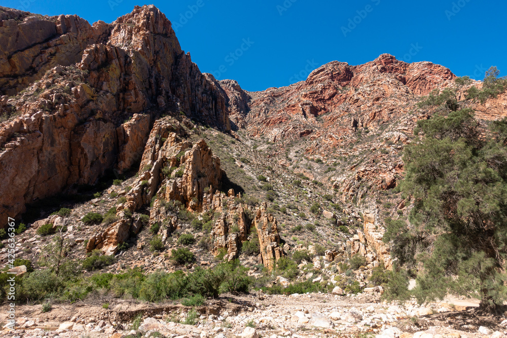 Fototapeta premium View of the arid mainland in the Cape Town region, Anysberg Nature Reserve, South Africa