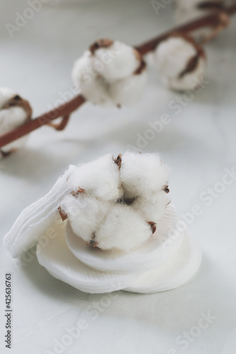 Cotton makeup disks and flowers on light background