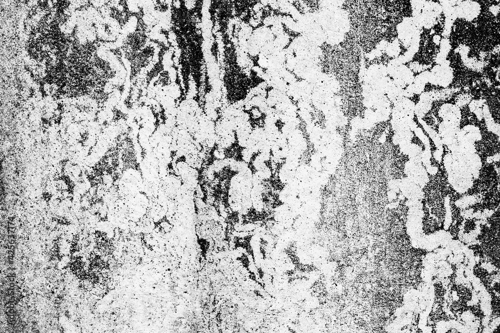 Texture of a concrete wall with cracks and scratches which can be used as a background Texture of a concrete wall with cracks and scratches which can be used as a background