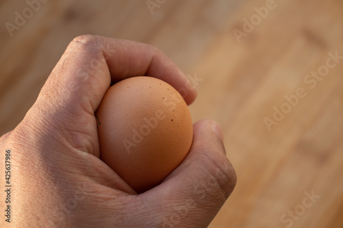 Woman's hands 'holding' an egg. Little desaturated in brown colour. Chicken egg in hand. Chicken yellow egg in hand