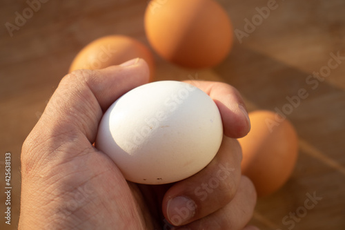 Woman's hands 'holding' an egg. Little desaturated in brown colour. Chicken egg in hand. Chicken white egg in hand