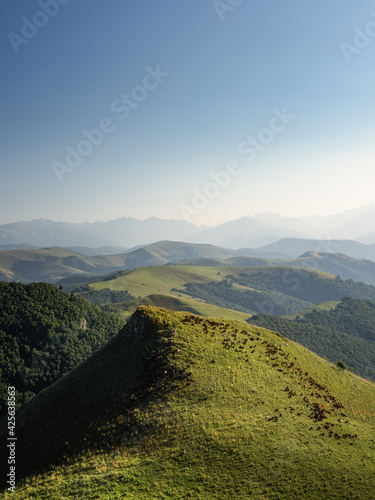 Mountain landscape with a view of meadows and a grazing flock of sheep