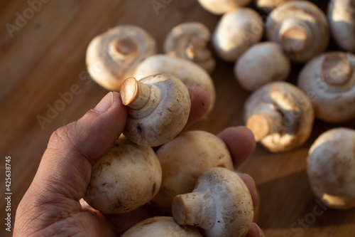 Fresh healthy brown mushrooms with very shallow depth of field. Mushrooms and champignons on the table. Mushrooms on the table top view. Mushrooms and champignons in your hand