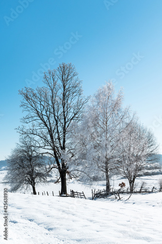 Beautiful winter day with frost in the countryside. © Aleksandar