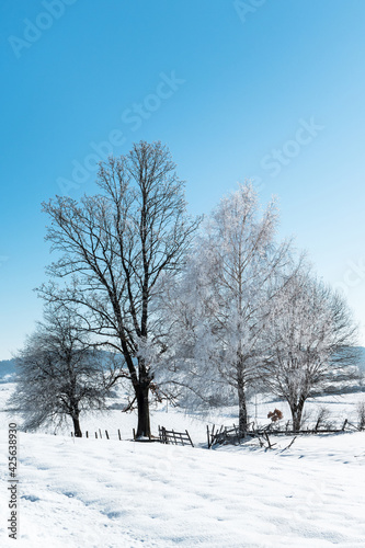 Beautiful winter day with frost in the countryside.