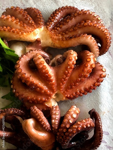 Grilled octopus from Bari