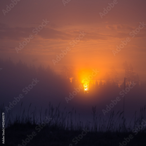 A beautiful misty morning in the spring. Sun shining throught the mist. Soft, warm, diffused light over the springtime landscape. Rural scenery of Northern Europe.