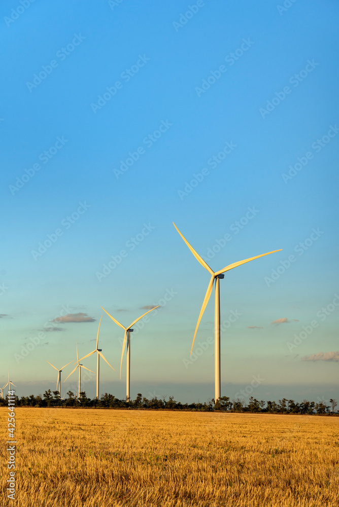 Windmills against the blue sunset sky on a yellow field. Alternative energy sources. Vertical frame Windmills against the blue sunset sky on a yellow field. Alternative energy sources. Vertical frame