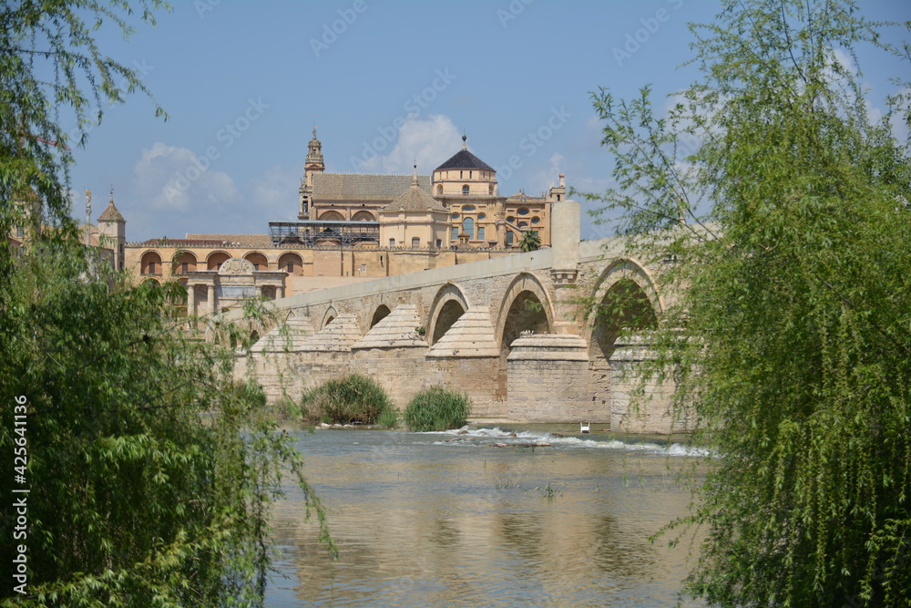 Puente Romano. Córdoba
