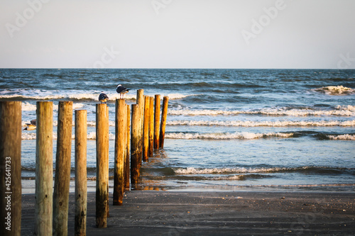 pier on the beach