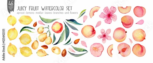 Watercolor fruit set isolation on white. Peaches, medlar and lemons handdrawn fresh fruts, leaves and flowers. Colorfull bright summer set for design textile, wallpapers, print and banners. photo