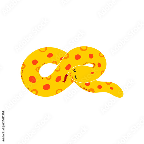 Vector illustration of anaconda. Tropical snake isolated on white background
