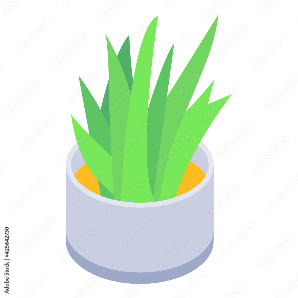 
An indoor plant in isometric icon 

