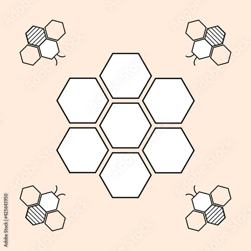 Vector illustration of bee and honeycomb on white background