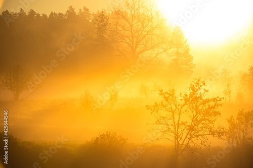A beautiful misty morning in the river valley. A springtime sunrise with fog at the banks of the river over trees. Spring landscape in Northern Europe with mist and trees.