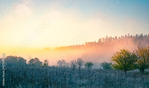 A beautiful misty morning in the river valley. A springtime sunrise with fog at the banks of the river over trees. Spring landscape in Northern Europe with mist and trees.