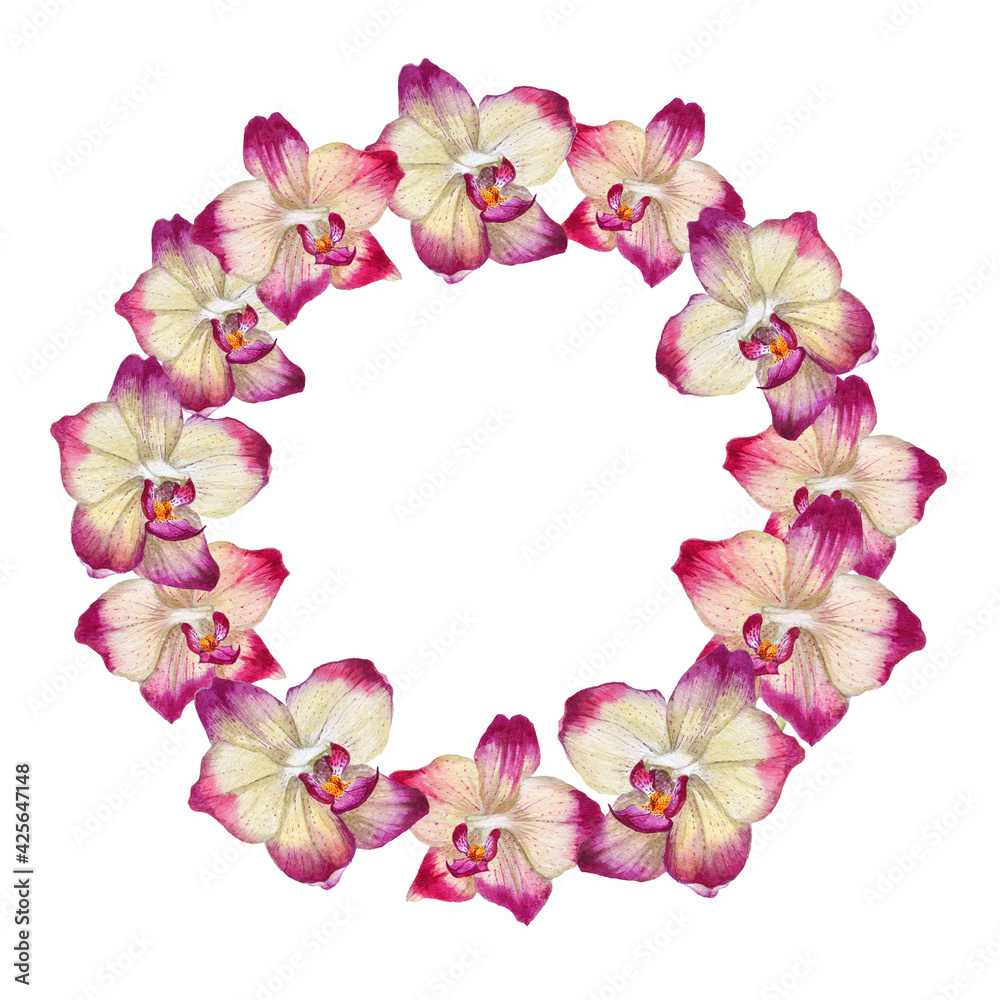 Tropical wreath made of watercolor orchid flowers isolated on white