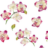 Seamless background with bright orchid flowers. Watercolor elements