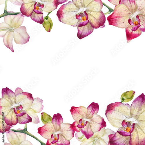 Frame of pink flowers. Watercolor orchids