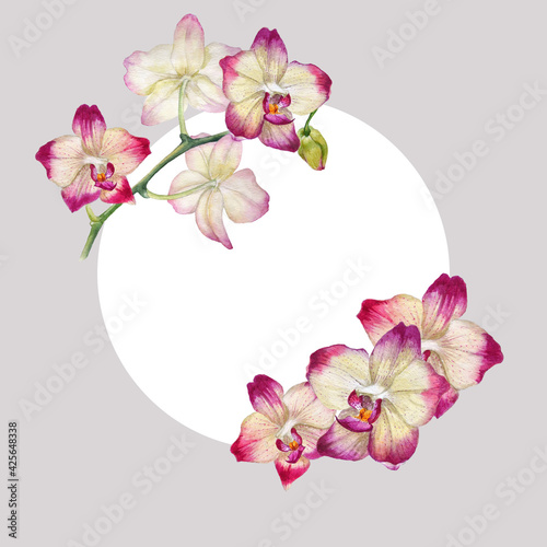 Frame with flowers. Watercolor orchid