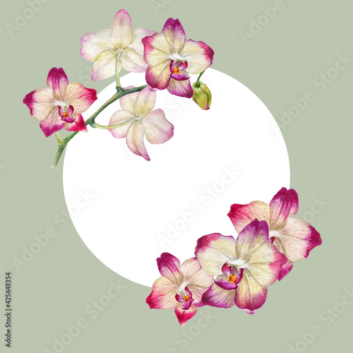 Tropical round frame with watercolor orchid flowers