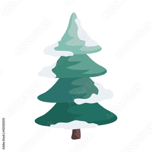green winter pine