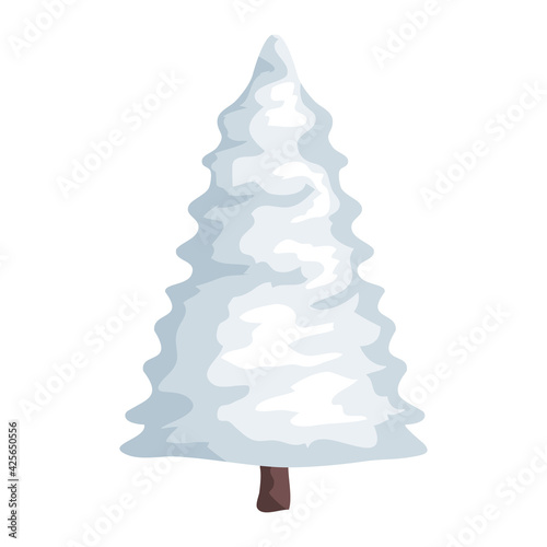 white winter pine