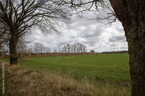 Archäologische Freilichtanlage mit Hünenbett im Arnkielpark  in Munkwolstrup bei Ooversee auf Angeln. photo