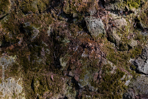 Weathered basalt boulder rock wall in gray black anthracite colors covered with moss and lichen, overgrown with moss, grouted with cement, grout. Texture without vignetting © Marcin Adrian ART