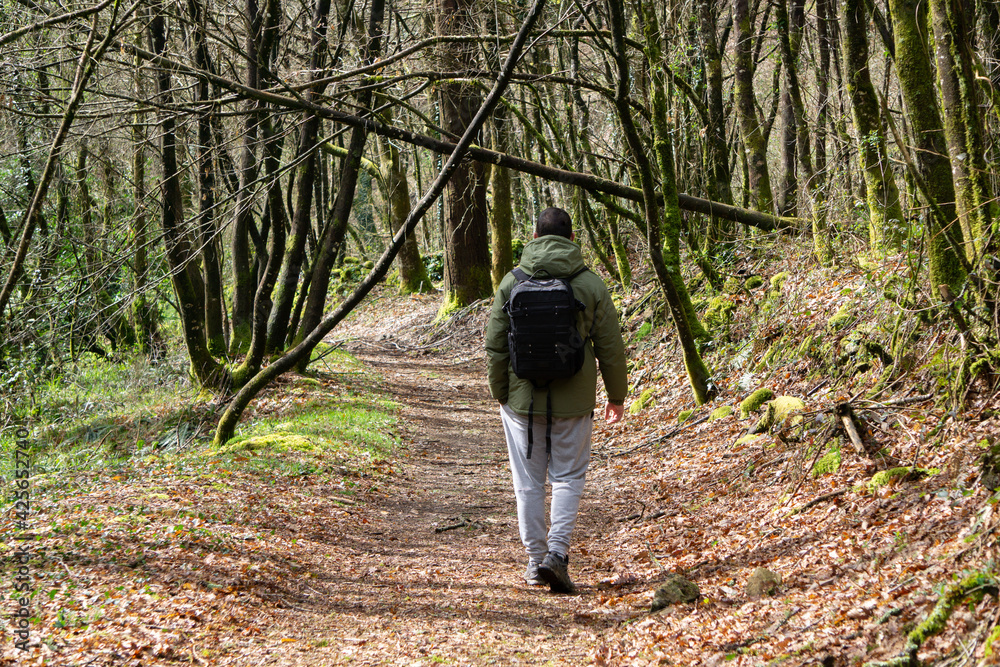 Happy man walking on a path with a backpack. Lifestyle concept, hike, outdoors. Happy man walking on a path with a backpack. Lifestyle concept, hike, outdoors.