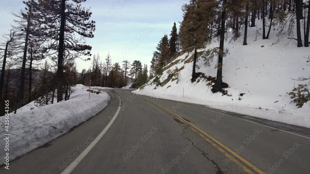 Sunset Mountain Forest with Snow Driving Plate Rear View 03