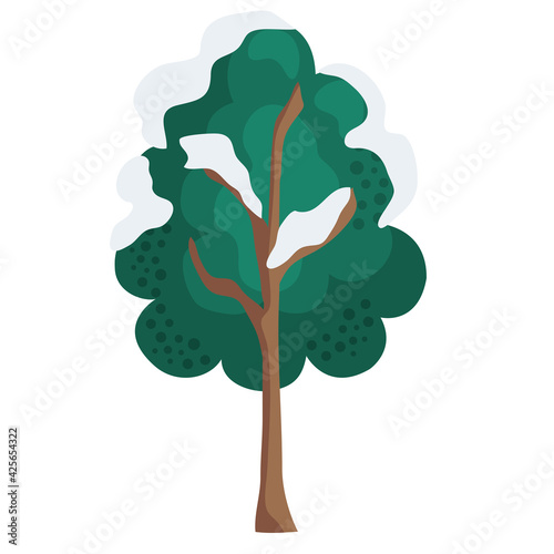 winter tree green