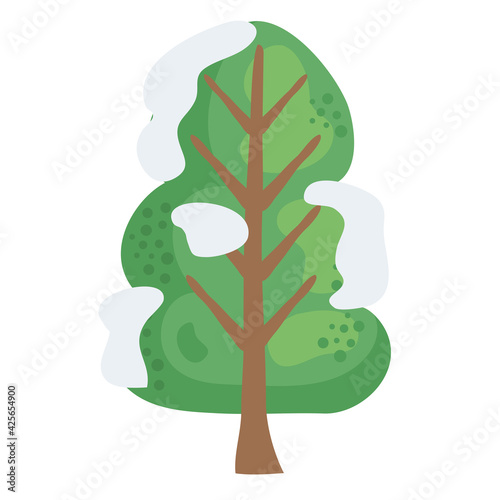 green winter tree