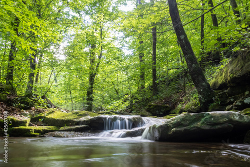 Beauty In Arkansas