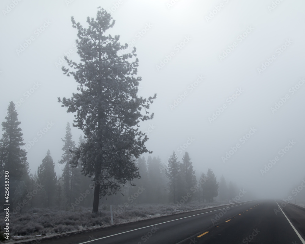 Traveling Through Fog