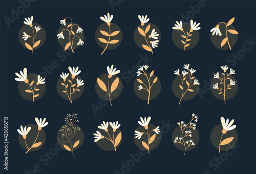 Yellow And White Flower Set
