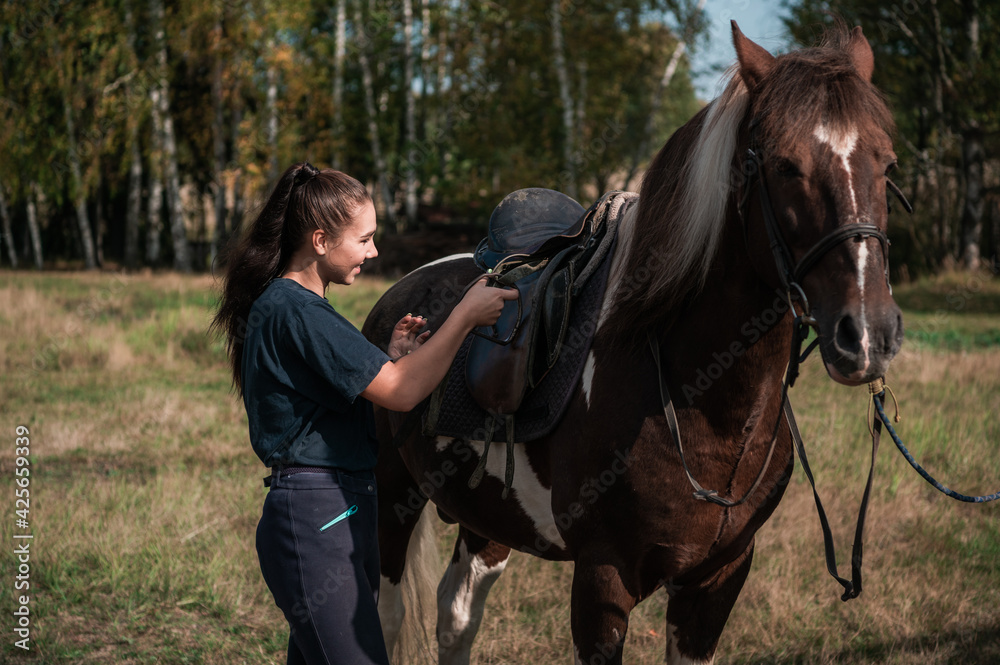 Obraz premium Saddling a beautiful mare on a ranch shows a young horse owner