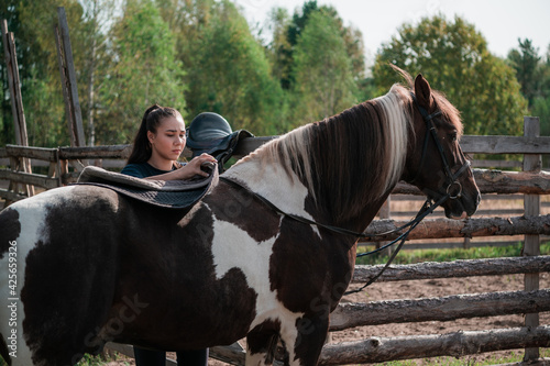 Saddling a beautiful mare on a ranch shows a young horse owner
