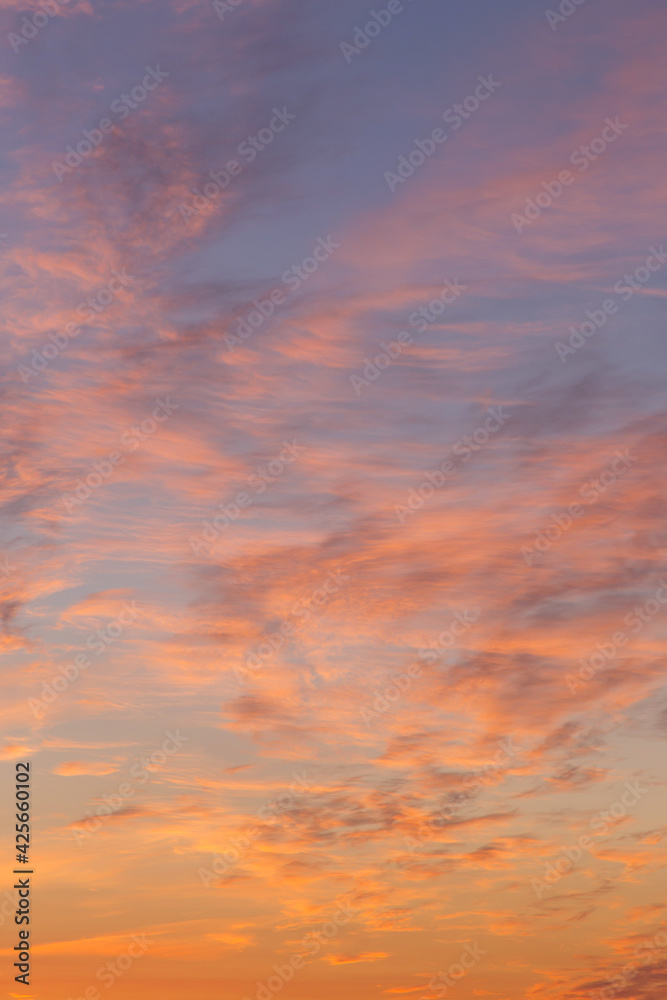 Dramatic sunrise, sunset pink orange blue sky with cirrus clouds in sunlight abstract background texture