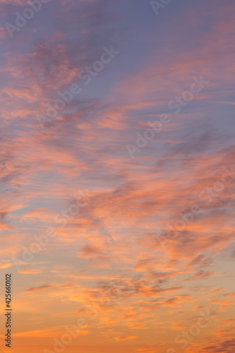 Dramatic sunrise, sunset pink orange blue sky with cirrus clouds in sunlight abstract background texture