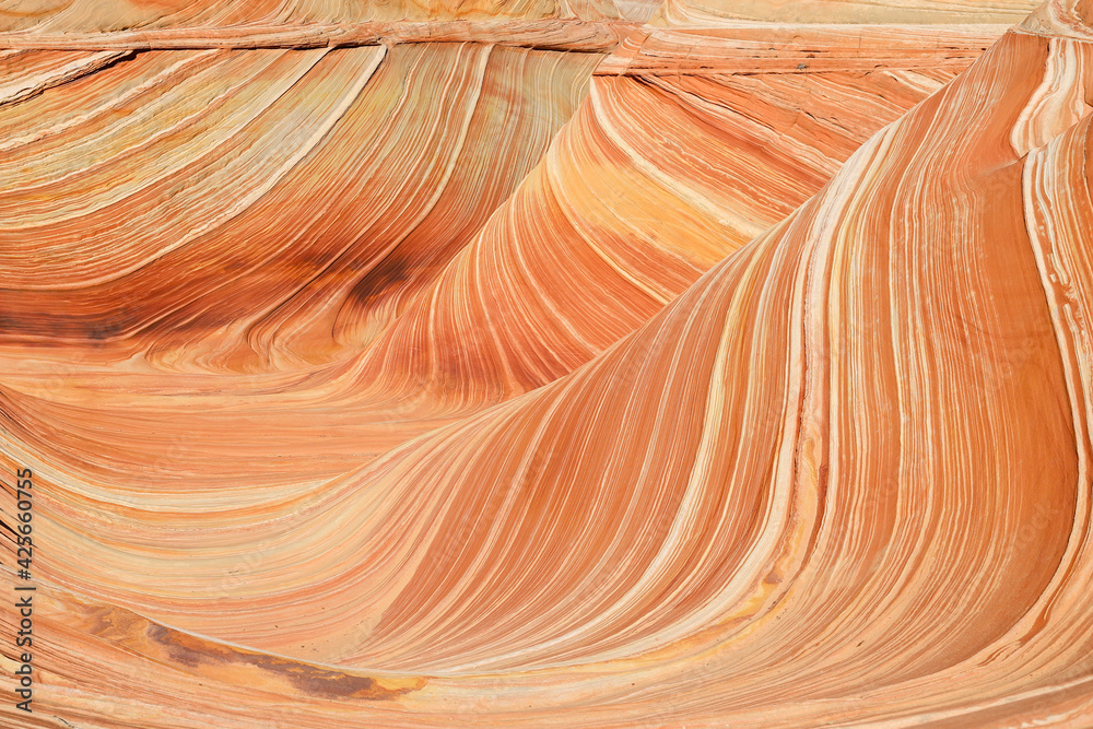 Obraz premium The Wave In Utah